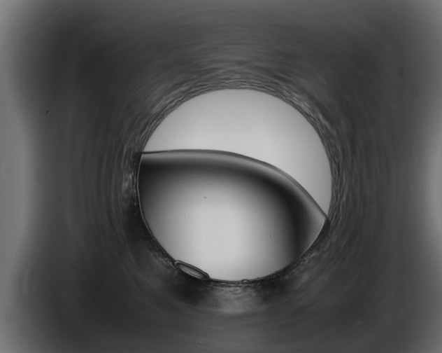 X0000086720521200704130730