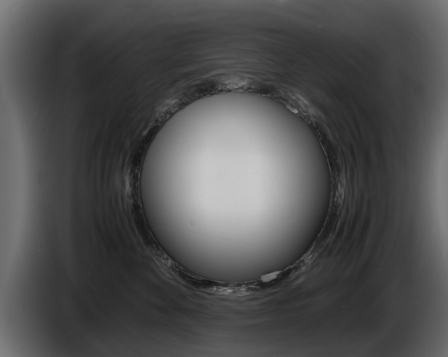 X0000086720524200704130730