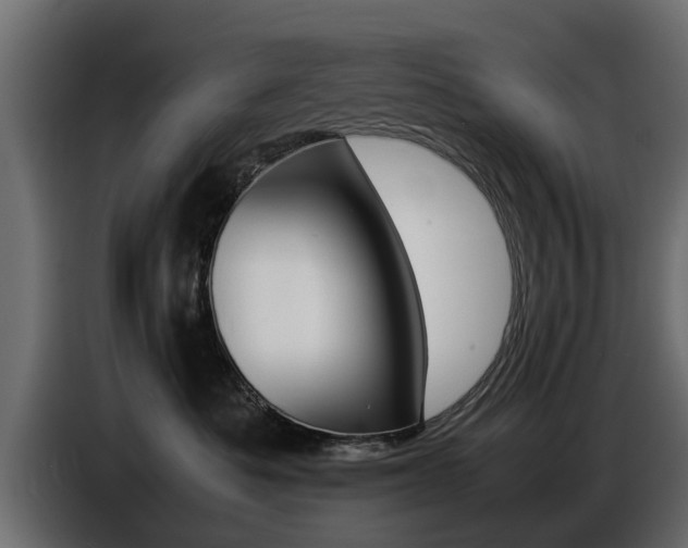 X0000086720525200704130730