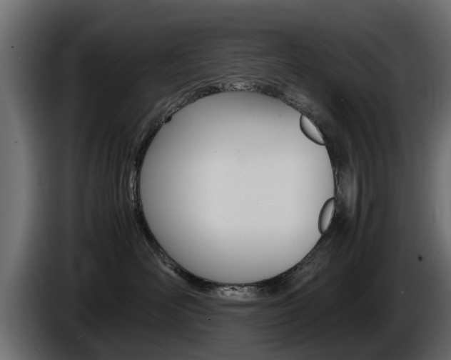 X0000086720526200704130730
