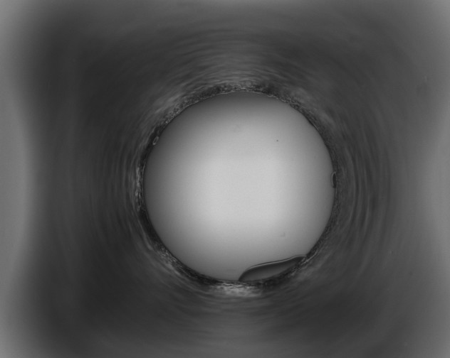 X0000086720528200704130730