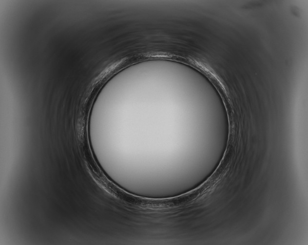 X0000086720533200704130730