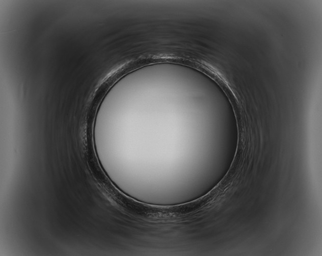 X0000086720535200704130730
