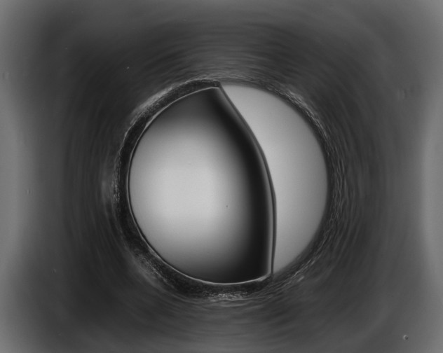 X0000086720536200704130730