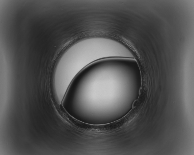 X0000086720538200704130730