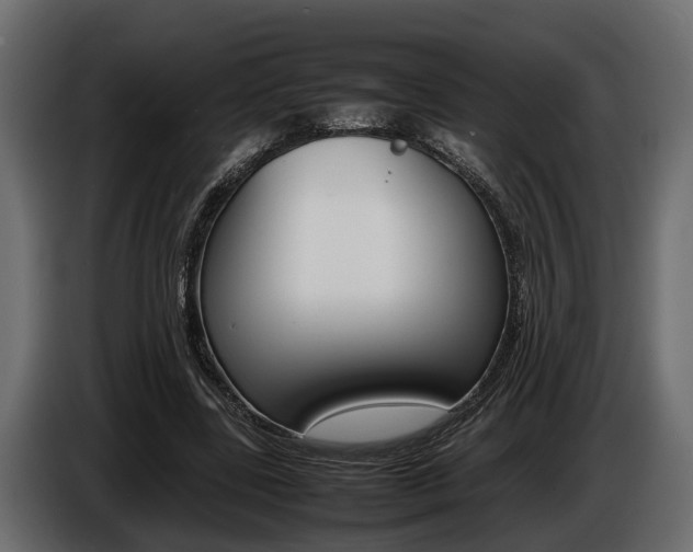 X0000086720539200704130730