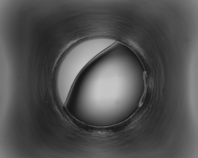 X0000086720540200704130730