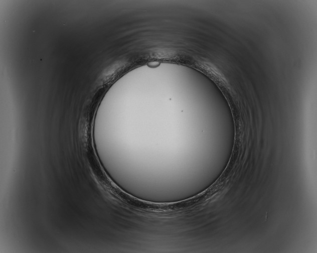 X0000086720542200704130730