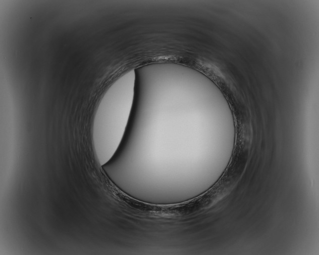 X0000086720545200704130730