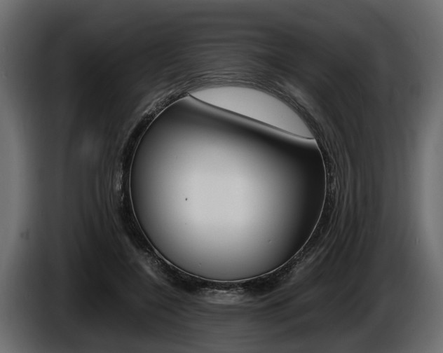 X0000086720548200704130730