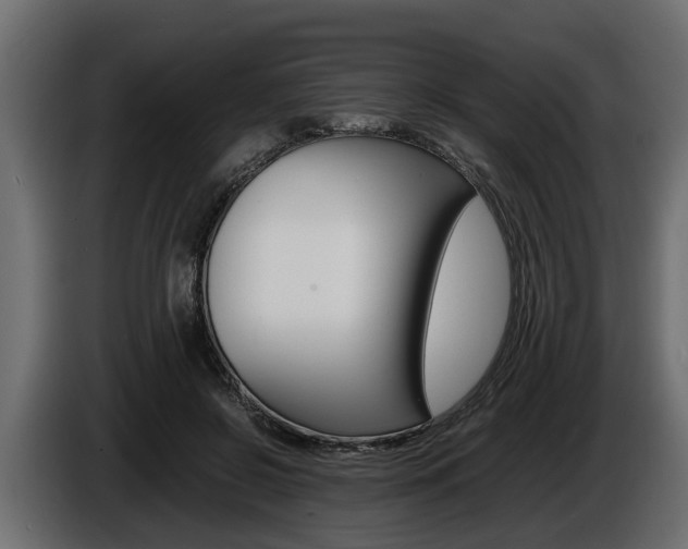 X0000086720550200704130730