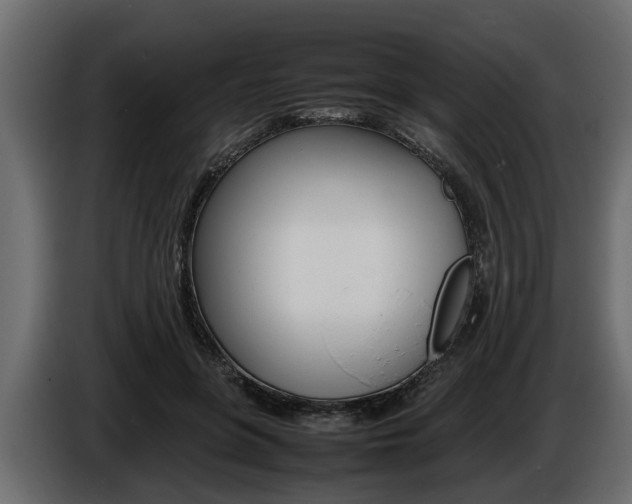 X0000086720551200704130730