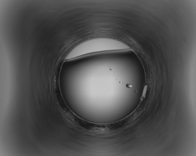 X0000086720552200704130730