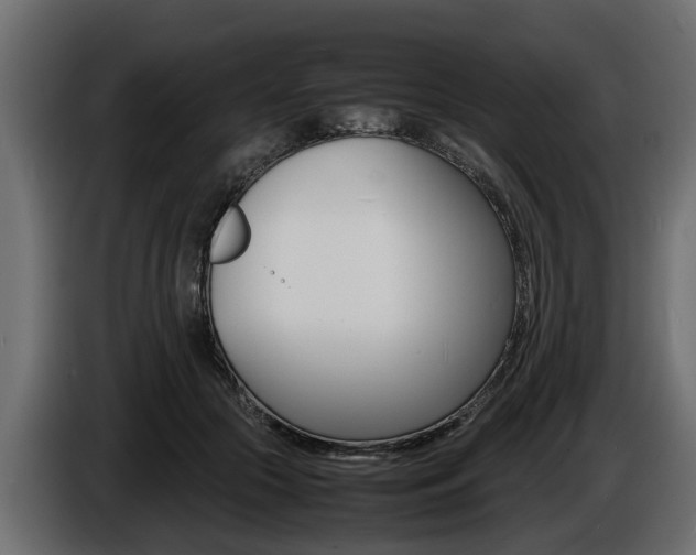 X0000086720553200704130730