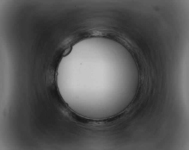 X0000086720554200704130730