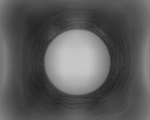 X0000086720556200704130730