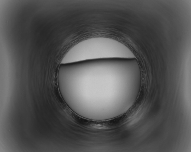X0000086720557200704130730