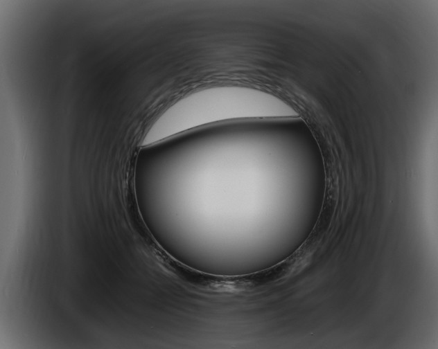X0000086720558200704130730