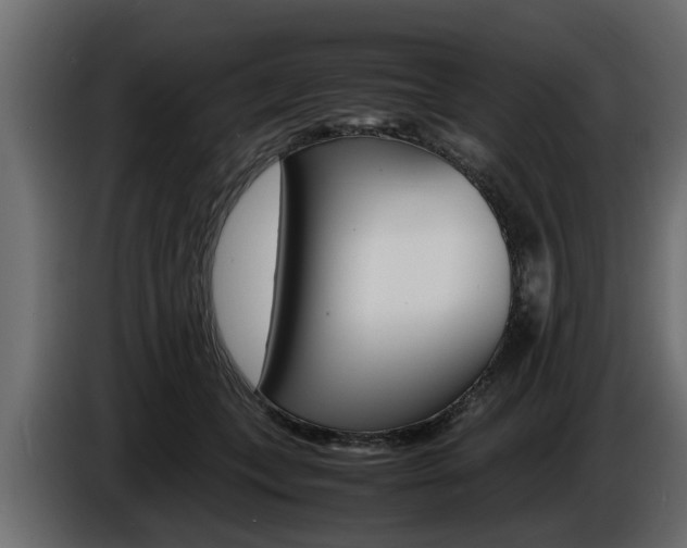 X0000086720559200704130730