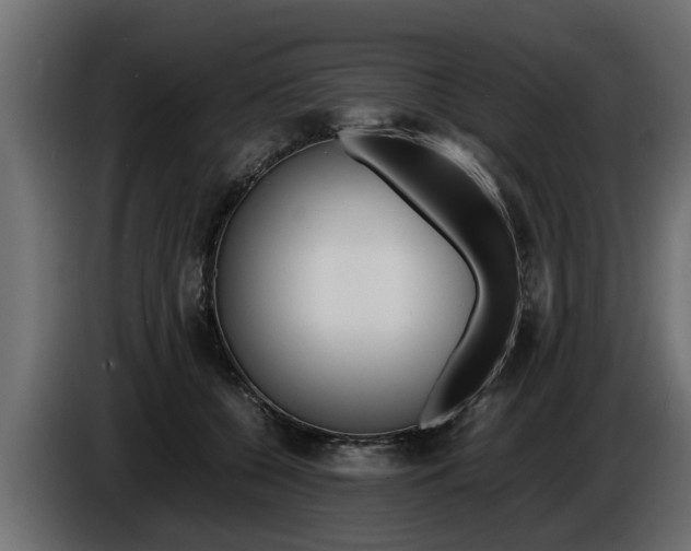 X0000086720560200704130730