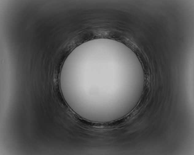 X0000086720561200704130730