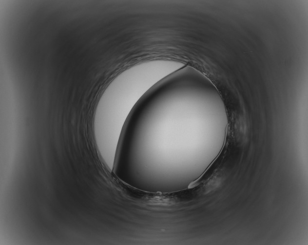 X0000086720562200704130730