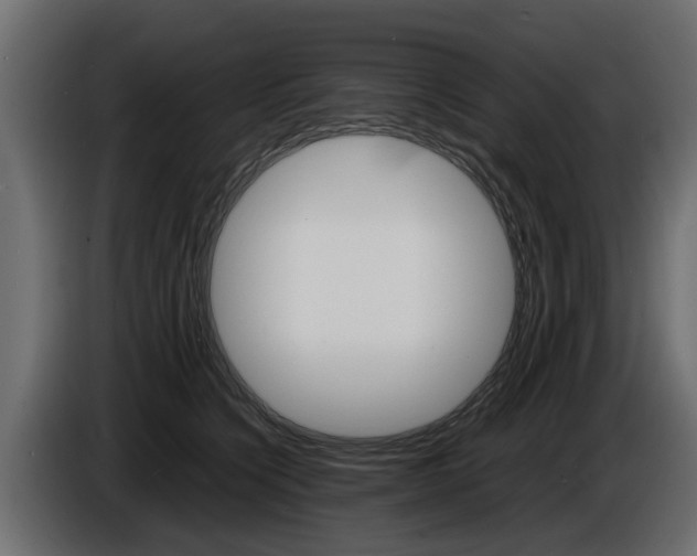 X0000086720564200704130730