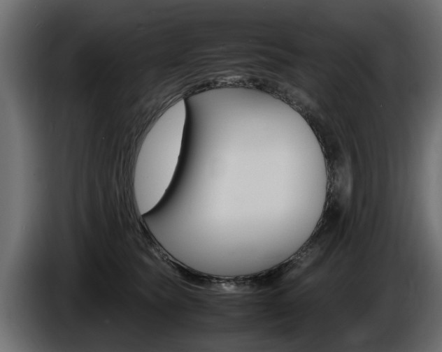 X0000086720565200704130730