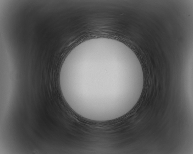 X0000086720566200704130730