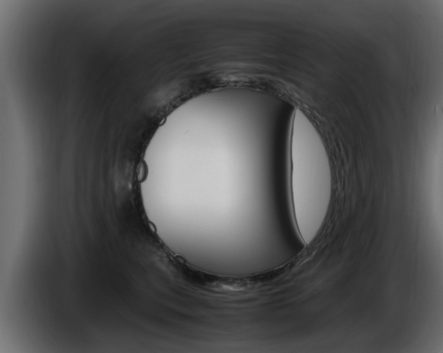 X0000086720567200704130730