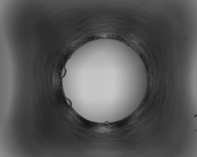 X0000086720569200704130730