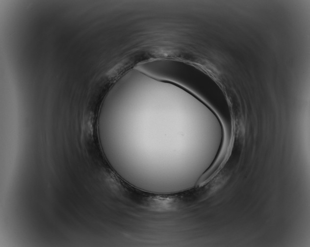 X0000086720570200704130730