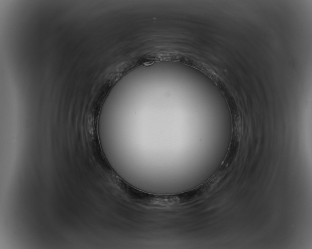 X0000086720571200704130730