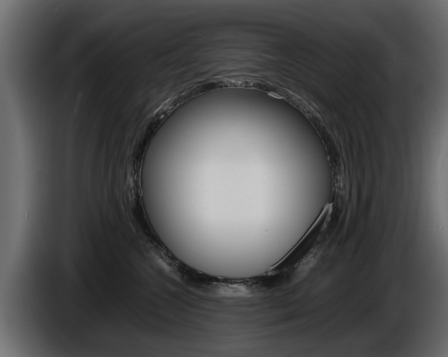X0000086720572200704130730