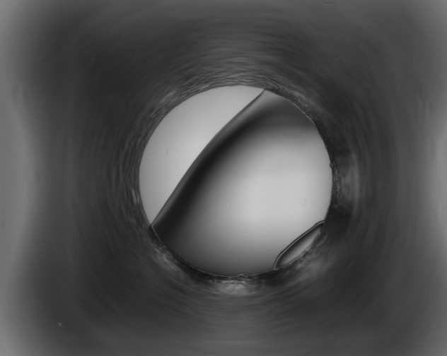 X0000086720574200704130730