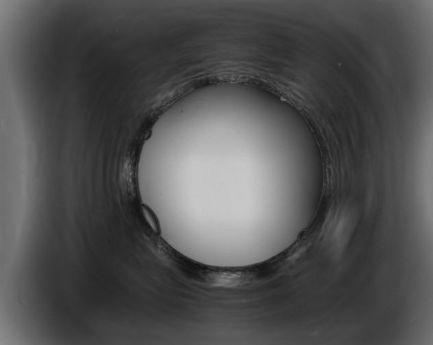 X0000086720575200704130730