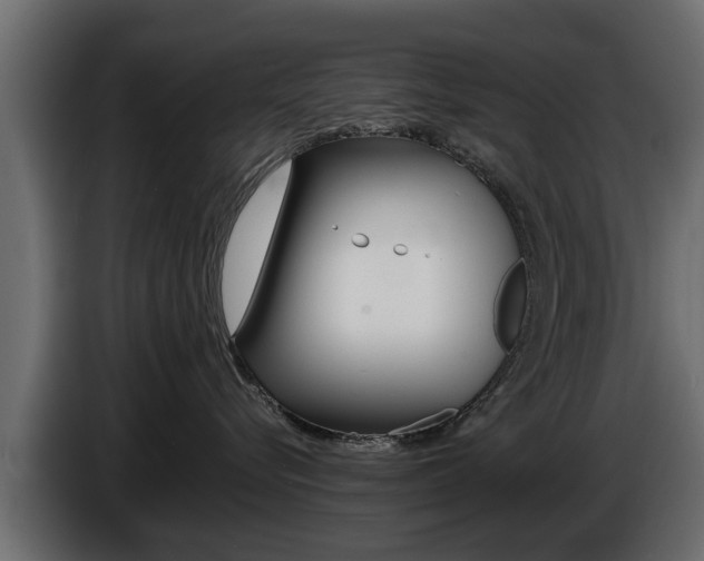 X0000086720576200704130730