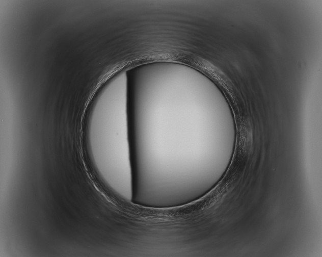 X0000086720578200704130730
