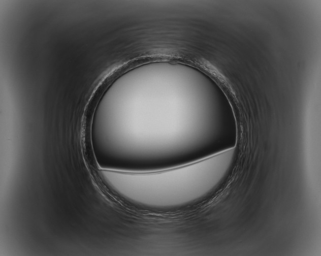 X0000086720580200704130730