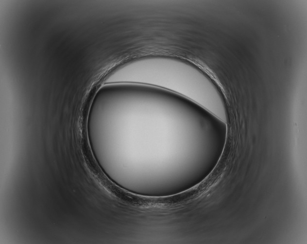 X0000086720581200704130730