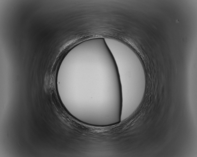 X0000086720583200704130730