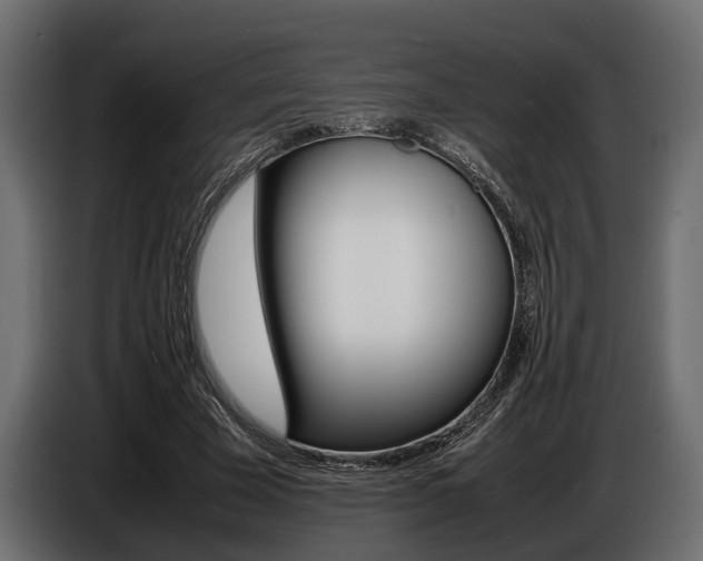 X0000086720585200704130729