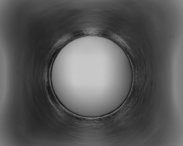 X0000086720586200704130729
