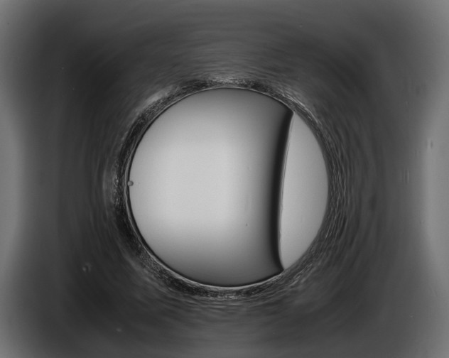 X0000086720587200704130729