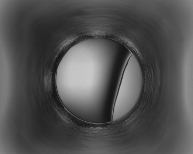 X0000086720588200704130729