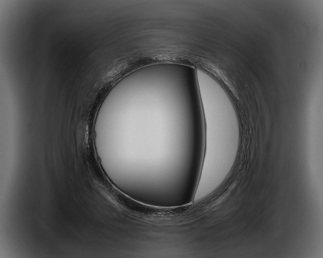X0000086720589200704130729