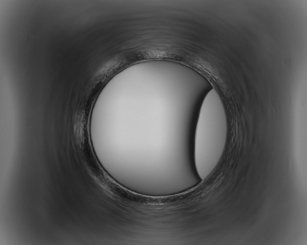 X0000086720590200704130729