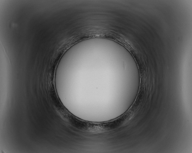 X0000086720594200704130729