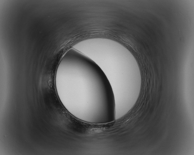 X0000086720595200704130729