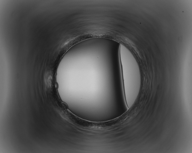 X0000086720596200704130729